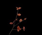 Leaf Spray Brown 85cm