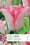 Tulipa Beautytrend 11/12