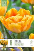 Tulipa - Foxy Foxtrot ®12/+