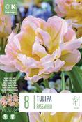 Tulipa - Password ®12/+ image