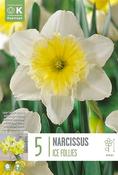 Narcis - Ice Folliess14/16 image