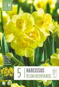 Narcis - Yellow Cheerfulnesss14/16 image