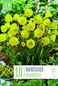 Narcissus Golden Bells 6/7 image