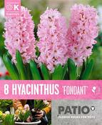 Hyacin - Fondant15/16