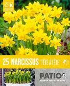 Narcis - Tete A Tetez10/11