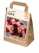 Bouquet Copper&amp;Black Tulipa Collection