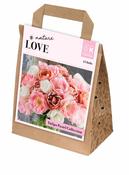 Bouquet Double Pastel Tulipa Collection