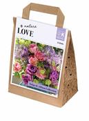 Bouquet Tulipa &amp; Allium Collection