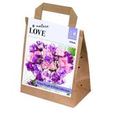 Bouquet Purple&amp;Pink Tulipa Collection image