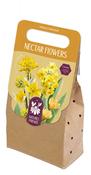 Nectar Flowers Yellow