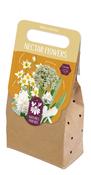 Nectar Flowers White