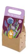 Nectar Flowers Blue