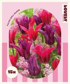 Combi Tulip Doll Blend