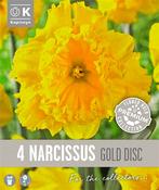 Premium Narcissus Gold Discs 14/16 image