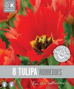 Premium Tulipa Robbedoes 12/+