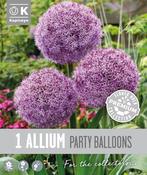 Premium Allium Party Balloons 18/20