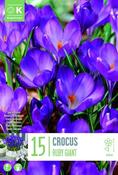 Crocus Ruby Giant 5/7 image