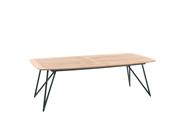 Riga 250x110 - Galvanise Steel, Teak Top