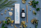 Honeysuckle &amp; Sea Salt Room Diffuser