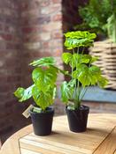 Artificial Monstera Plant Green image