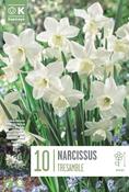 Narcissus Tresamble 10/12 image