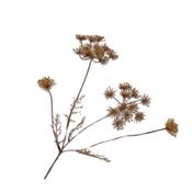Queen An Lace Spray Gold 55cm image