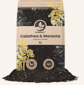 Calathea &amp; Maranta Mix 5L-Most suited for;Calathea, Lilies, Chlorophytum, Begonia, Strelitzia... image