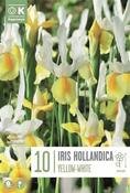 Iris Hollandica Yellow-White 8/9 image