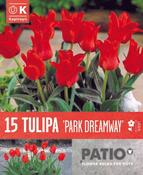 Tulipa - Park Dreamway11/12