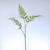 Fern Spray Green 90 Cm image