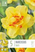 Narcis - Tahitis14/16 image