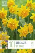 Narcis - Tete Boucle ®z10/11 image