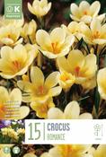 Crocus - Romance5/7