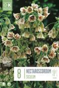 Nectar - Siculum Ssp Bulgaricum8/9
