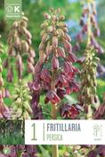 Fritil - Persica18/20 image
