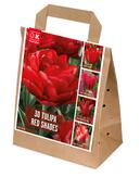 Shades Of Colour Tulip Red Shades
