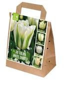 Shades Of Colour Tulip White Shades