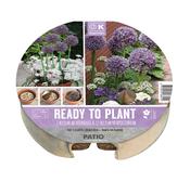 Plant-O-Mat Tray Ø 24 Cm Allium