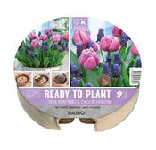 Plant-O-Mat Tray Ø 24 Cm Tulipa &amp; Muscari