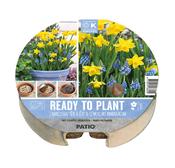 Plant-O-Mat Tray Ø 24cm Narcissus &amp; Muscari