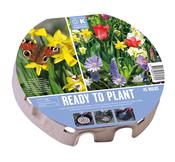 Plant-O-Mat Tray Xl Ø 38Cm Wild Blooms