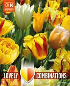 Combi Tulip Sunny Delight Blend