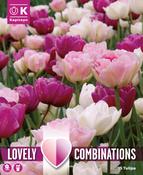 Combi Tulip Double Pink, Purple &amp; White image