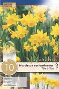 Narcis - Tete A Tetez10/11