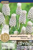 Muscar - Siberian Tiger ®7/8