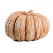 Zucca Terracotta Pumpkin
