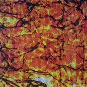 Something Pretty Beautiful - Something Pretty Beautiful (LP, MiniAlbum, Comp) image