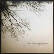 James Yorkston And The Athletes - St. Patrick (10", Single) image