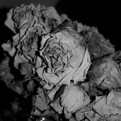 Sciahri - Quiet Witness (12", EP) image