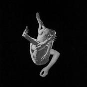 Autumns - Suffocating Brothers (LP, Album, Ltd) image